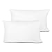 EDOW Throw Pillow Insert, Set of 2 Down Alternative Polyester Decorative Pillow, Cushion,Sham Stuffer. (White, 12x20)