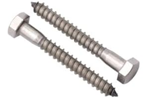 (6 PCS) 5/16 x 5 Stainless Steel Hex Lag Screws Bolts, 304 Stainless Steel Hexagon Head Lag Wood Screws, Partial Thread, by RoyceMart
