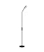 Lustrat LED Modern Floor Lamp - Floor Lamp with Adjustable Gooseneck Pole Light for Home and Office - Bedroom Standing Lamp - Dimmable Floor Lamp with Remote Control - Black