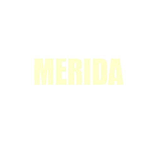 Feijoa Fruit Name Foods Business Card Holder Case Wallet - Thumbnail 3