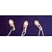 Clear 3-Bulb C7 Replacement Lights with White Wire Cord