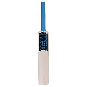 GM Neon Cricket Mini Bat 17-Inch