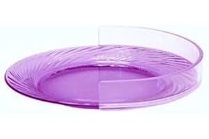 THE WRIGHT STUFF Large Clear Plate Guard