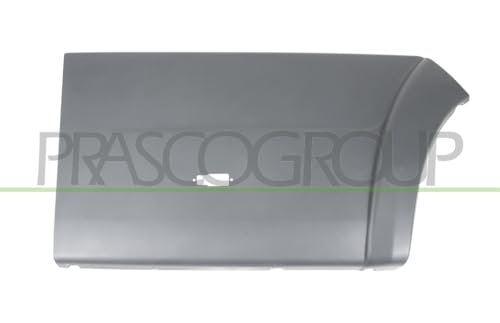 Schutzleiste seitlich Tür hinten rechts