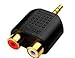 Gold Plated 3.5mm Male Stereo to 2 RCA Female Y Splitter Adapter Plug Converter (2-Pack)