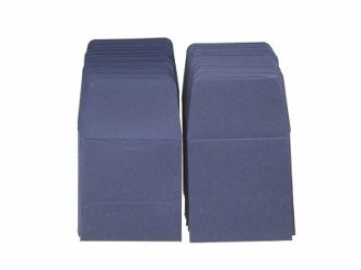 Archival Paper Coin Envelopes 2x2 Blue by Guardhouse 100 Pack