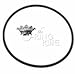 Jandy Zodiac FloPro (FHPM) Series Pump Backplate Housing O'ring R0480300