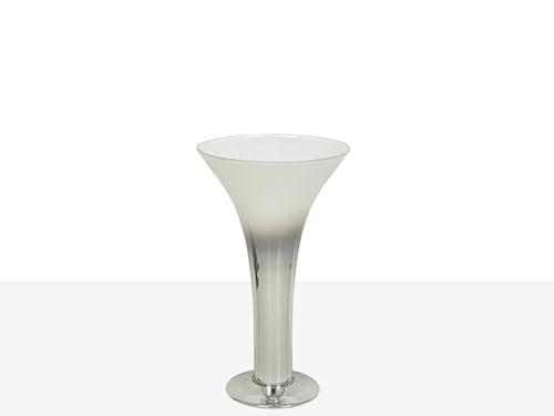 JARRON VIDRIO PLATA/TRANS en promo sur Amazon