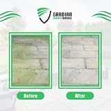 Gardian Algae Remover 1 Litre – Fast Acting Patio Cleaner view 5