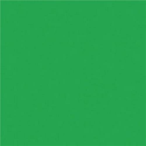 Rosco Roscolux Moss Green, 20x24" Color Effects Lighting Filter