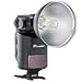 Flashpoint SL-360K1 StreakLight 360 Watt-Seconds Flash with Blast Power Pack (Black)