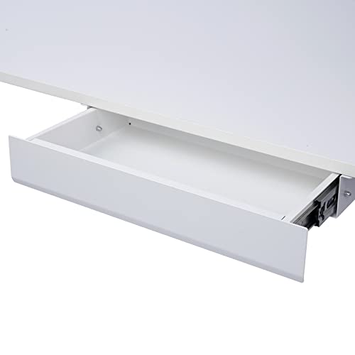 FLEXISPOT Under Desk Drawer PullOut Standing Desk Storage Organizer