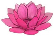 Natural Capiz Shell Tea Light Holder Hot Pink with Free Candle