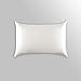 ALASKA BEAR Luxurious 25 Momme Silk Pillowcase, 100% Mulberry Silk Pillow Case Cover, Standard (1, Ivory(Natural Undyed White))