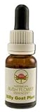 Billy Goat Plum Individual Essences - 15 ml,(Australian Bush Flower Essences)