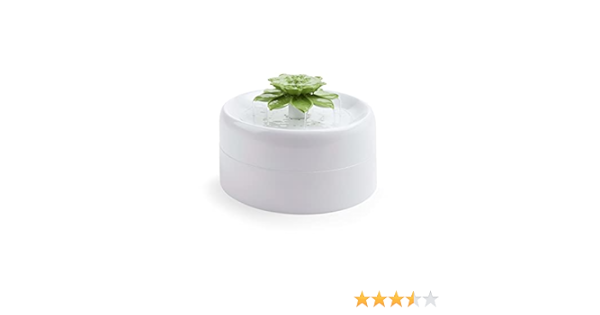 Pet Supplies Petco Brand Everyyay Get Fresh Succulent Water Fountain For Pets 50 Fl Oz Amazon Com