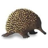 Science and Nature 75484 Small Echidna - Animals of Australia Realistic Monotreme Toy Replica
