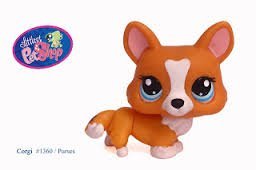 littlest pet shop corgi