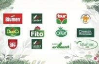 Landen Chilli Pepper of Cayenna – BigaMart