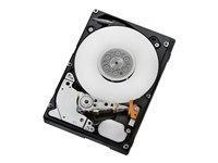 HGST 900GB SAS 10000RPM 64MB