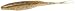 Zoom Bait Salty Super Fluke Bait-Pack of 10 (Houdini, 5-Inch)