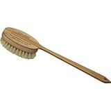 Skin Brush -Long Handle Natural Bristle -16 inches Brand: Bernard Jensen