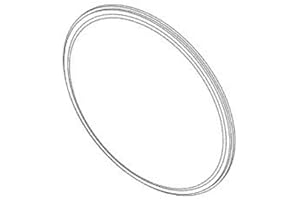 REPLACEMENT PARTS INDUSTRIES RPI Door Gasket for Pelton & Crane (Fits Models: OCR, OCR+) PCG015