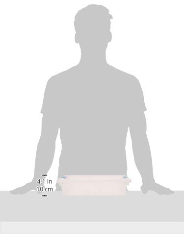 STERILITE 19638606 Large Clip Box, Clear with Blue Aquarium Latches