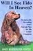 Will I See Fido in Heaven?: Scripturally Revealing God's Eternal Plan for His Lesser Creatures by Mary Buddemeyer-Porter
