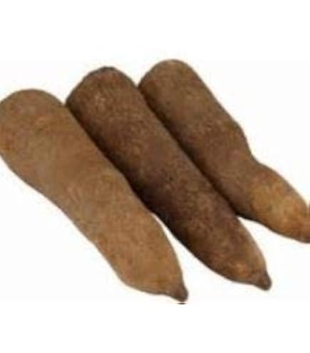 Amazon.com: Fresh African Yam Tubers Roots Ñame 5 Pounds : Grocery
