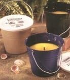 Party Pail - 61110 Painted Citronella Pail