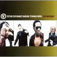 Shelter: Brand New Heavies, The: 0610447501925: Amazon.com