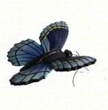 Clark Collection CC52035 Blue Butterfly