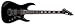 ESP LTD JH-600 Black Jeff Hanneman Signature Electric Guitar