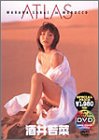 酒井若菜 : ATLAS