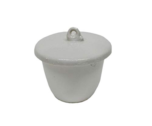 Otoolworld Porcelain Crucible with Lid Cover Lab