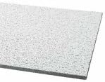 Ceiling Tile, 24 x 48 In, 5/8 In T, Pk 12