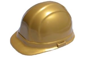 TEXAS AMERICA SAFETY COMPANY Inexpensive OSHA Hard Hat Kits - Omega 2 Cap Style with pin Lock suspensions and Hard Hat Tote- Gold