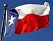 WINDSTRONG 4x6 FT Sewn Texas Flag (Double Sided) SolarMax Nylon Lone Star State Sewn Applique Star and Sewn Stripes Reinforced Corners Made in USA