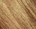 Garnier Nutrisse Nourishing Hair Color Creme, 72 Dark Beige Blonde (Sweet Latte) (Packaging May Vary)