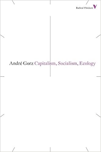 Help me write a book review