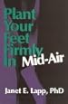 Plant Your Feet Firmly  in Mid-Air: Guidance Through Turbulent Change
