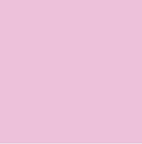 8 Fl. Oz. Bottle of Pilgrim Dye Colors Synthetic Fiber Dye - Color = Pink Lady