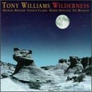 WILDERNESS                                        