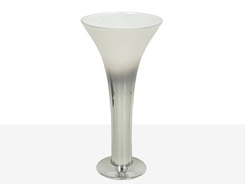 JARRON VIDRIO PLATA/TRANS en promo sur Amazon