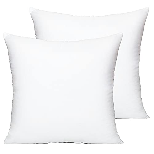 HIPPIH 20 x 20 Inch Pillow Inserts (Set of 2), Decorative Throw Pillow