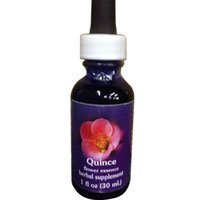 Flower Essence Services Essence, Quince, 0.25 Ounce by Flower Essence Services