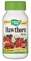 Nature's Way Hawthorn
