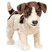 Folkmanis 2848 Jack Russell Terrier Hand Puppet, Smooth Coat