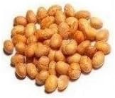 Bulk Nuts Soynuts - Organic - Dry Roasted - 1 lb - case of 30